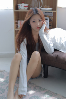 消失的大象